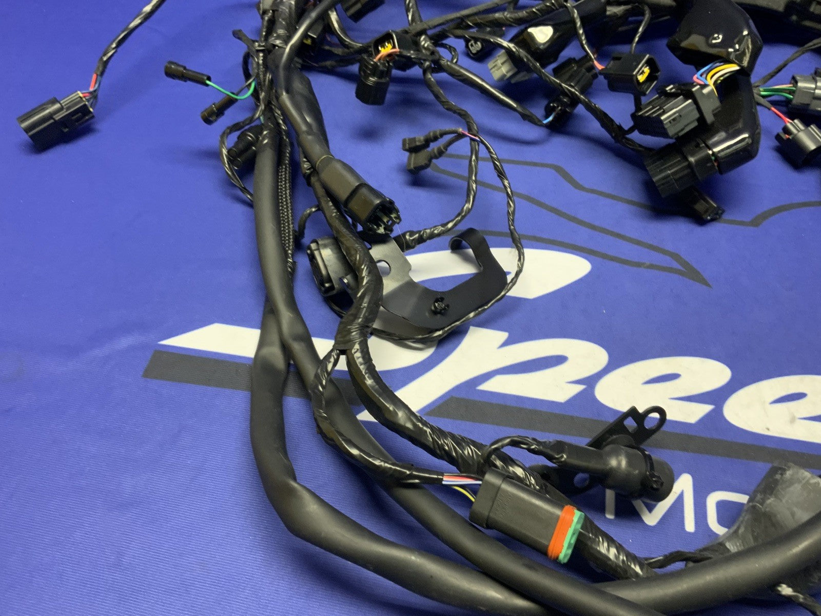 Triumph Main Wiring Harness Street Triple RS 2023-2025 OEM T2509765