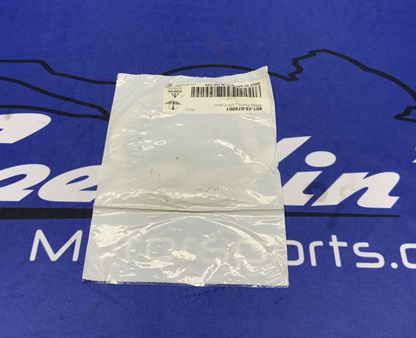 Barnett Steel Clutch Drive Plate 2MM S1000RR 2010-2018 401-25-078001