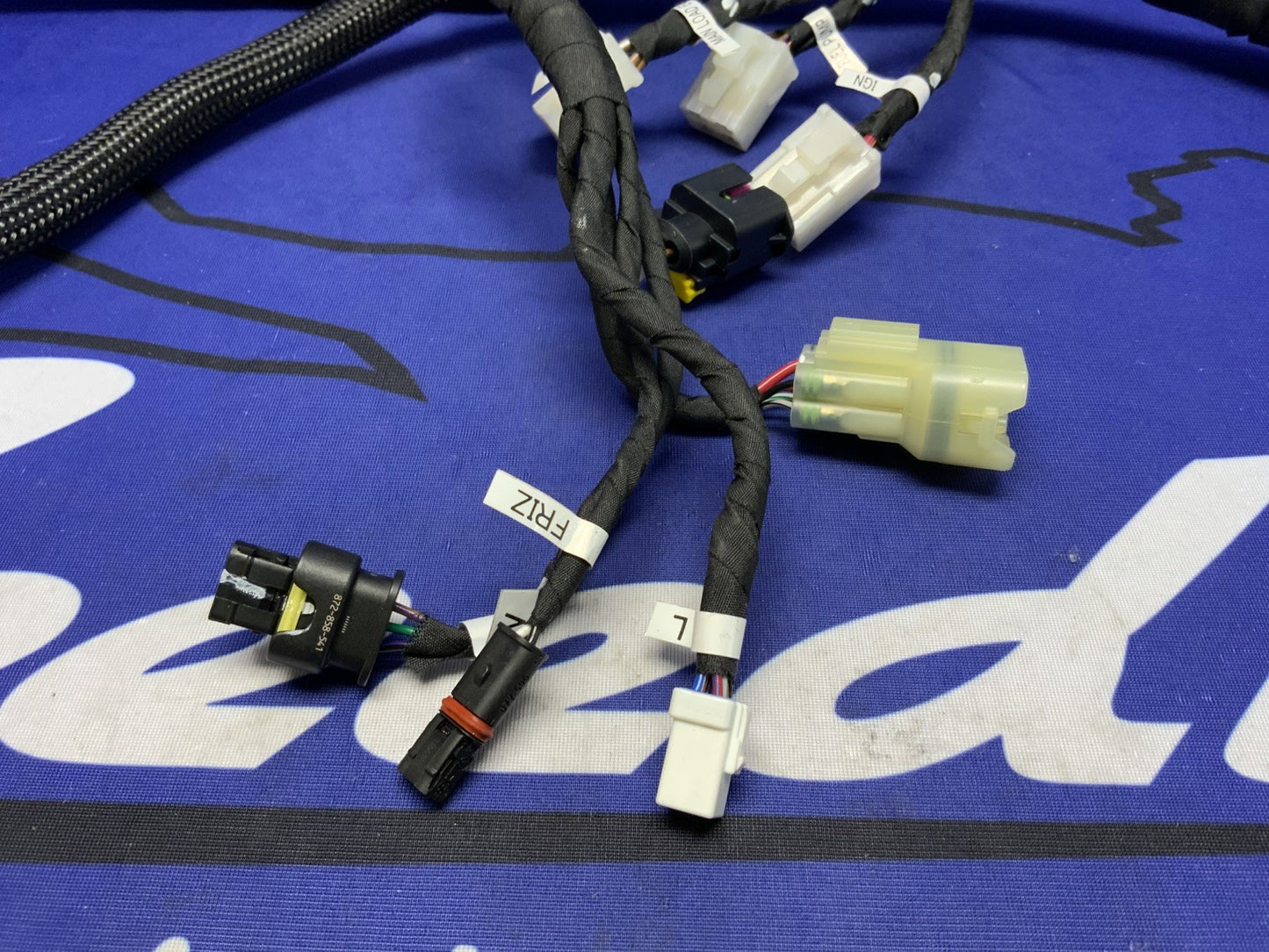 Ducati Main Wiring Harness Panigale V2 2020-2024 OEM 5101D691D