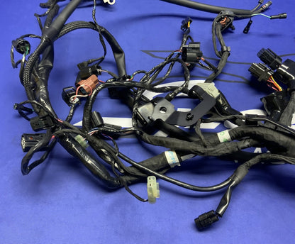 Triumph Main Wiring Harness Street Triple RS 2023-2025 OEM T2509765