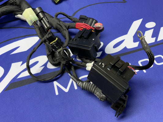 Ducati Main Wiring Harness Panigale V2 2020-2024 OEM 5101D691D