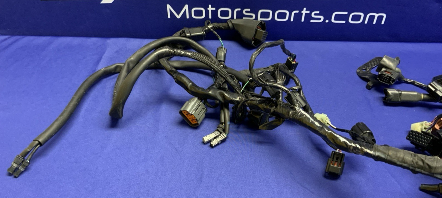 Triumph Main Wiring Harness (No Horn Connector) Street Triple 2023-2025 T2506090