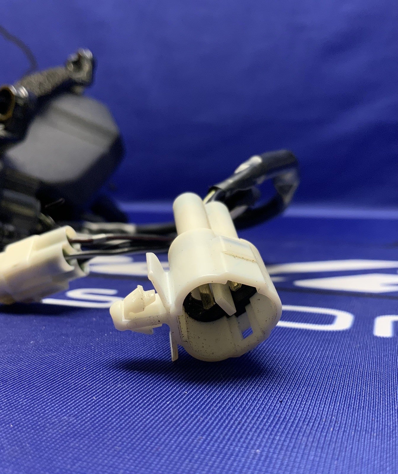 Yamaha Right Pilot Light YZF-R6 2017-2020 OEM BN6-84302-00-00-7