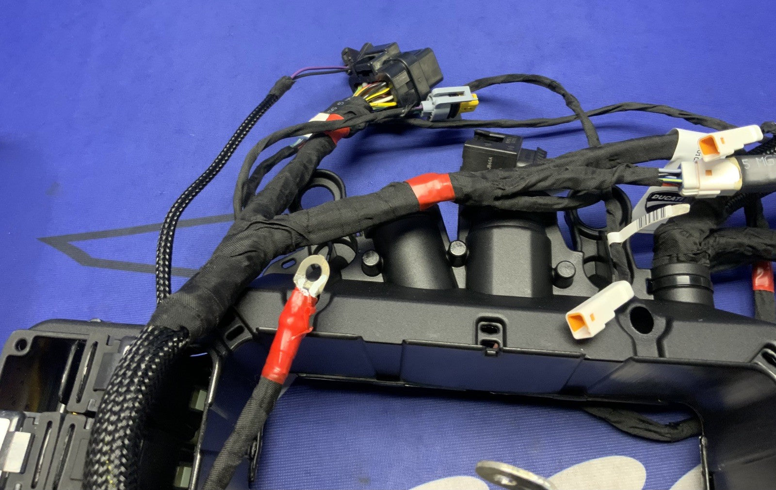 Ducati Main Wiring Harness Panigale V4 Speciale 2019 OEM 5101C371G