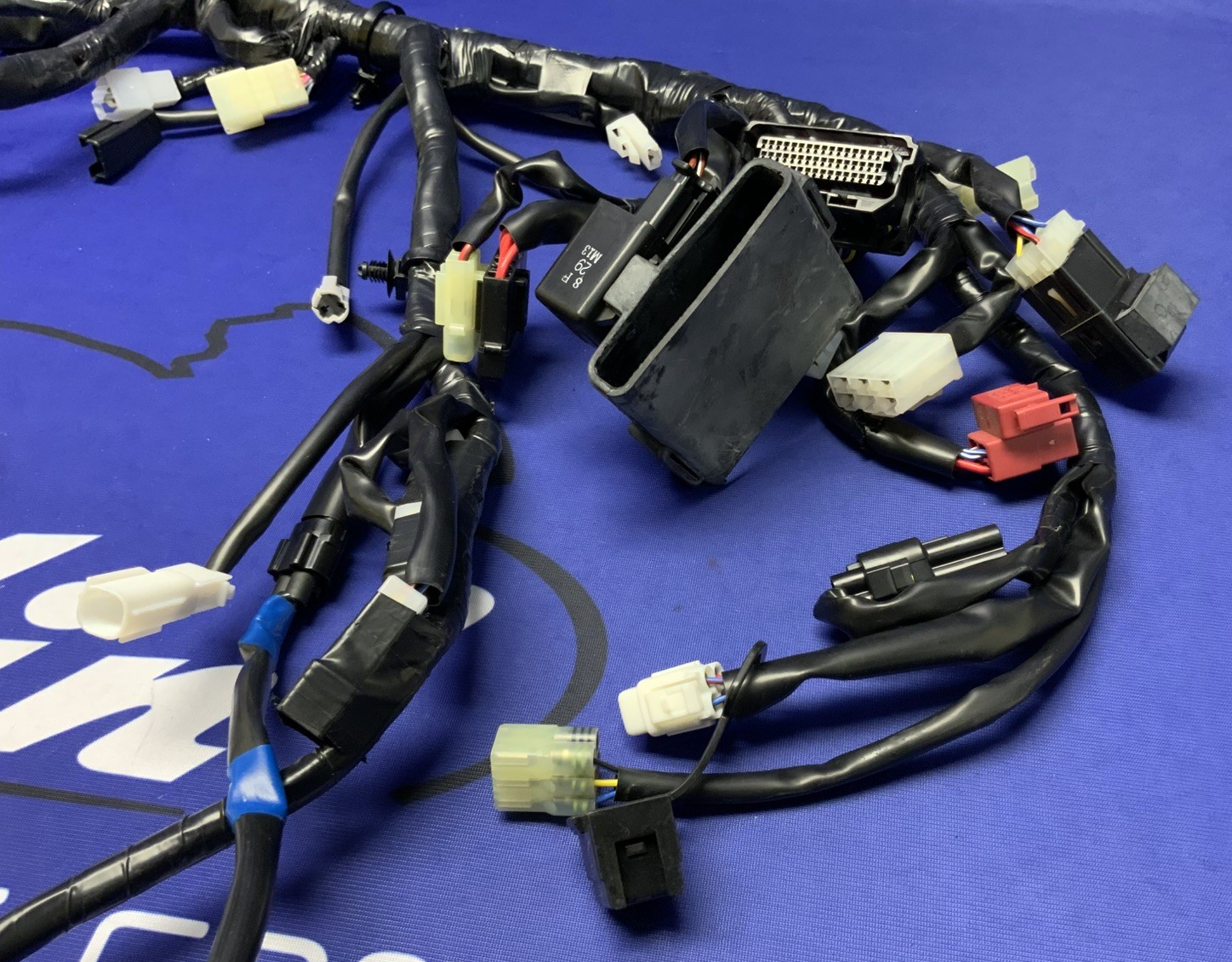 Yamaha Main Wire Harness YZF-R3 2019-2024 OEM B5L-H2590-10-00