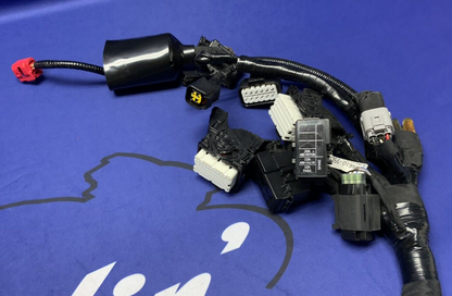 Suzuki Wire Harness GSX-8S 2023-2025 OEM 36610-25L00