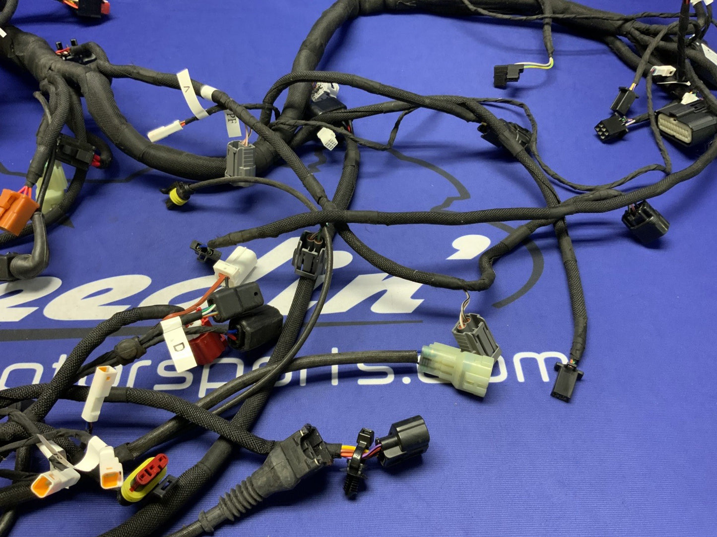 MV Agusta Wiring Harness F3R/RR 2023 OEM 8000D1225