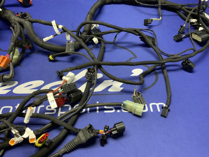 MV Agusta Wiring Harness F3R/RR 2023 OEM 8000D1225