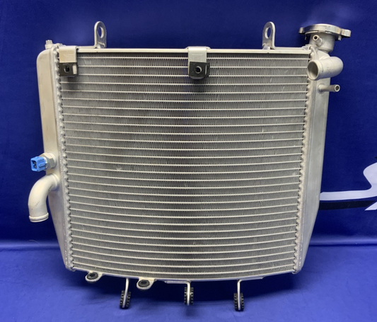 MV Agusta Radiator Assembly F3R 2023 OEM 8000D0741-1