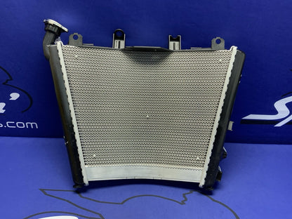 BMW Radiator S1000RR 2018-2026 OEM 17118356804