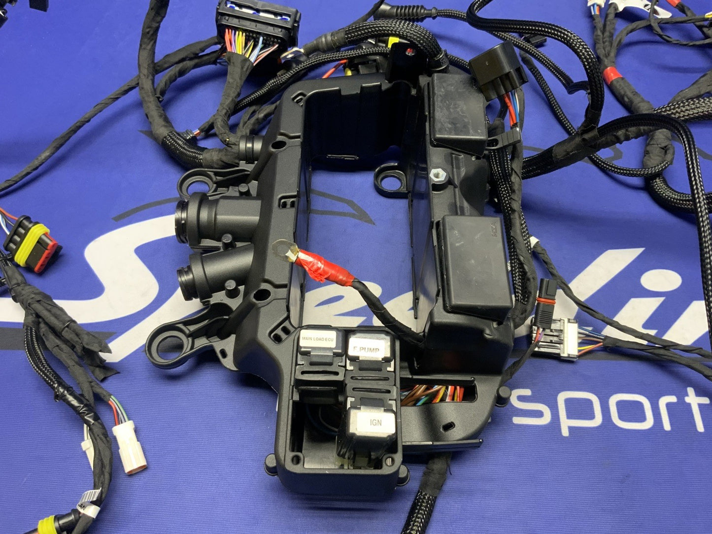 Ducati Main Wiring Harness Panigale V4 Speciale 2019 OEM 5101C371G