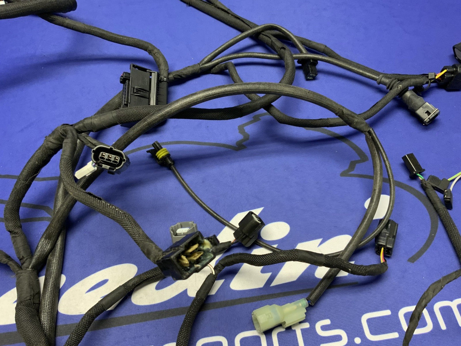 MV Agusta Wiring Harness F3R/RR 2023 OEM 8000D1225