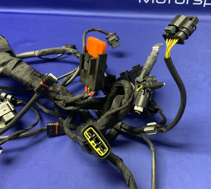 BMW Main Wire Harness S1000RR (K67) 2019-2022 OEM 61117105051