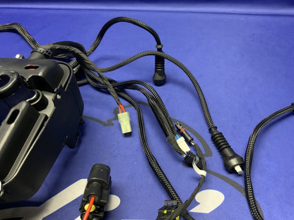 Ducati Main Wiring Harness Panigale V4 Speciale 2019 OEM 5101C371G