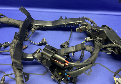 BMW Main Wire Harness S1000RR (K67) 2019-2022 OEM 61117105051