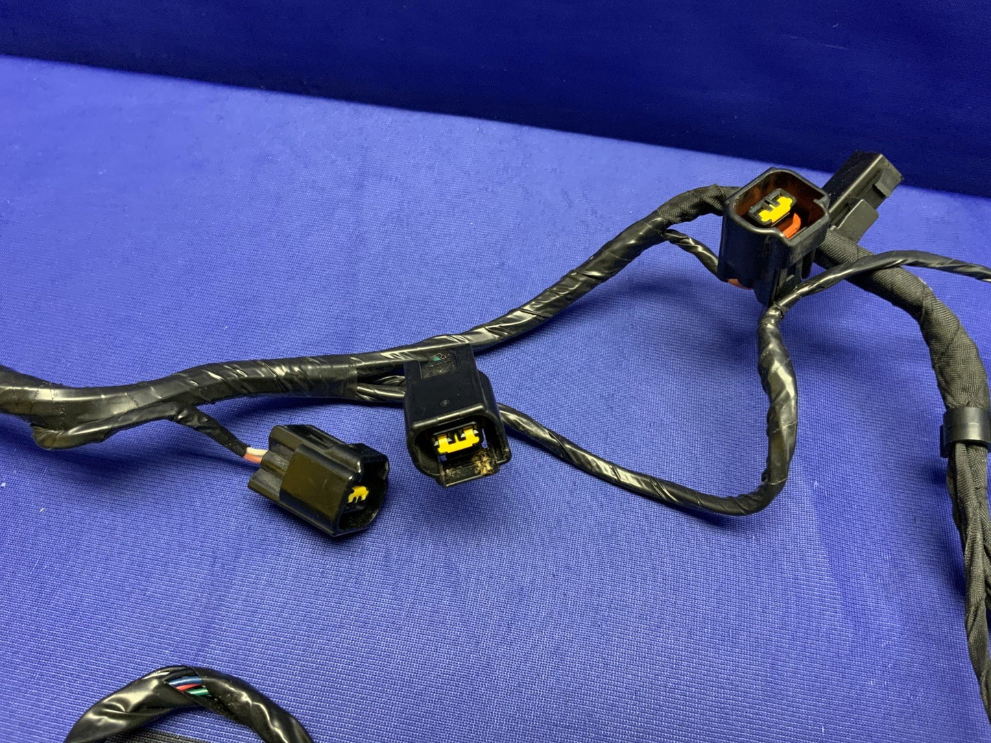Triumph Main Wiring Harness (No Horn) Street Triple RS 23-25 OEM T2506090-1