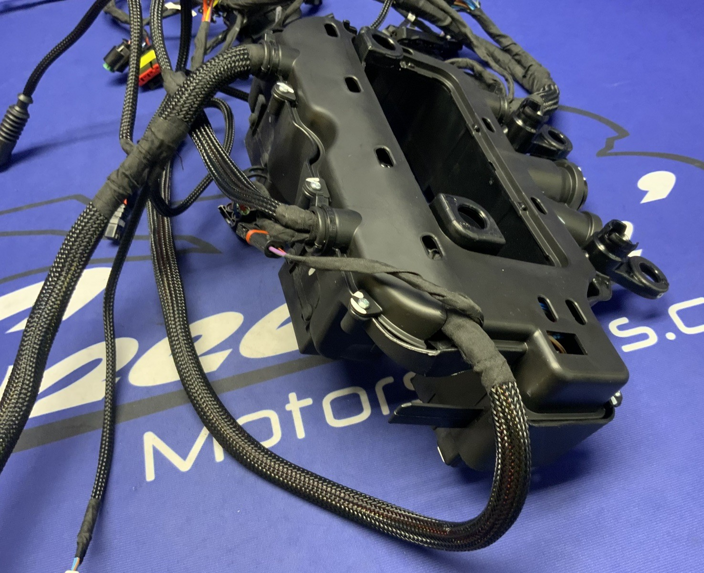 Ducati Main Wiring Harness Panigale V4 Speciale 2019 OEM 5101C371G