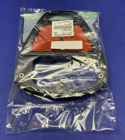 Kawasaki Air Filter Vulcan 900 Classic LT 2006-2026 OEM 11013-0015