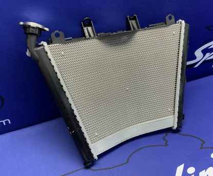 BMW Radiator S1000RR 2018-2026 OEM 17118356804