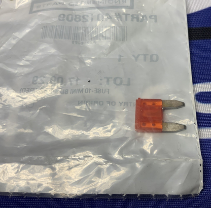 Polaris 10-AMP Mini Blade Fuse RZR 800 2008-2026 OEM 4012809