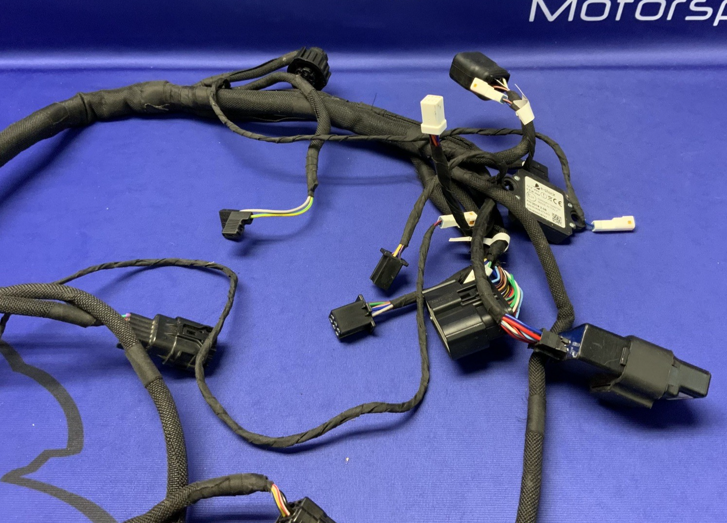 MV Agusta Wiring Harness F3R/RR 2023 OEM 8000D1225