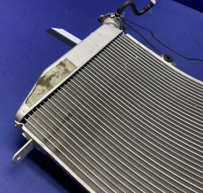Yamaha Radiator Assembly W/ One Fan YZF-R6 2017-2020 OEM BN6-12461-00-00-1