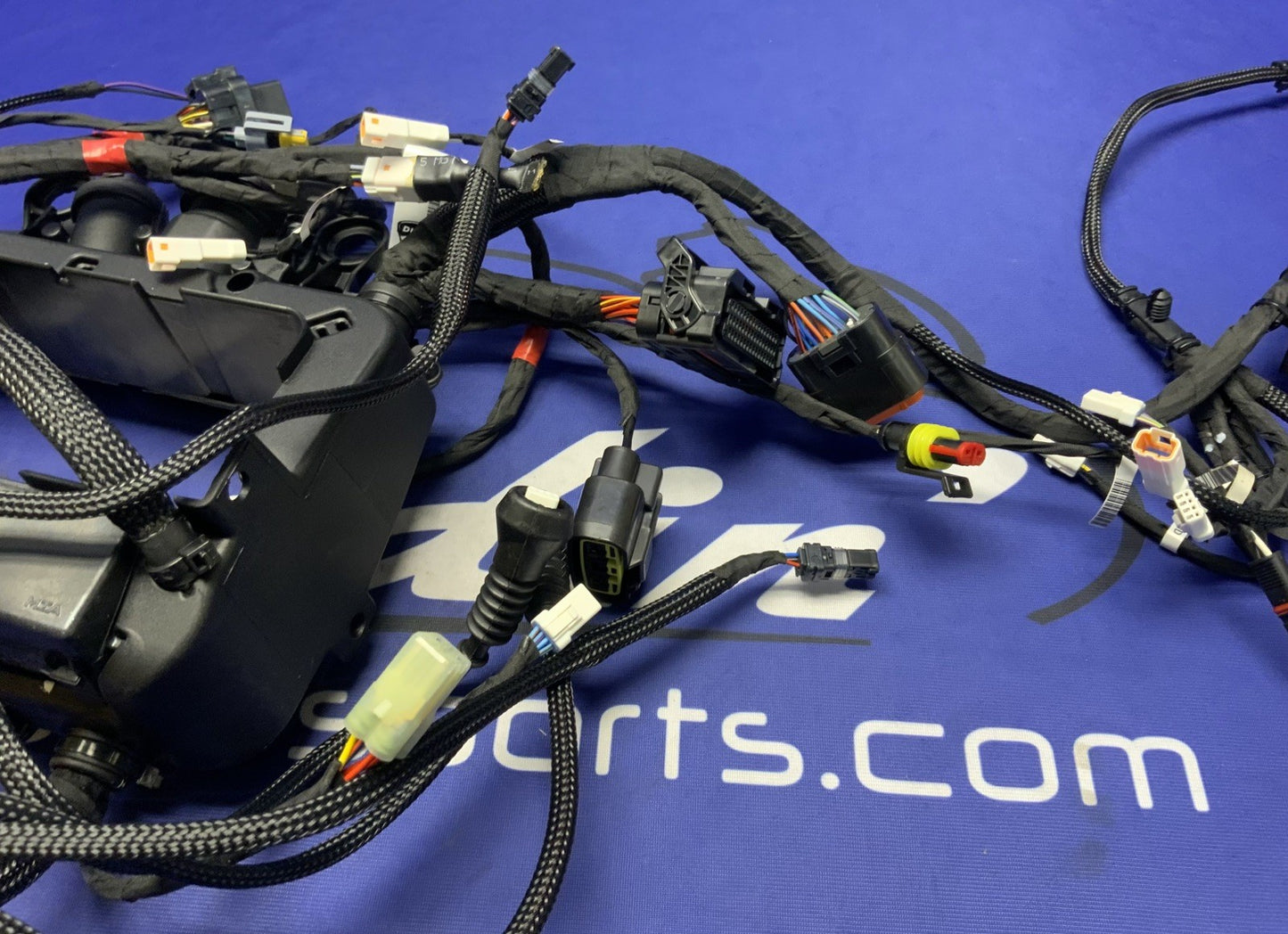Ducati Main Wiring Harness Panigale V4 Speciale 2019 OEM 5101C371G