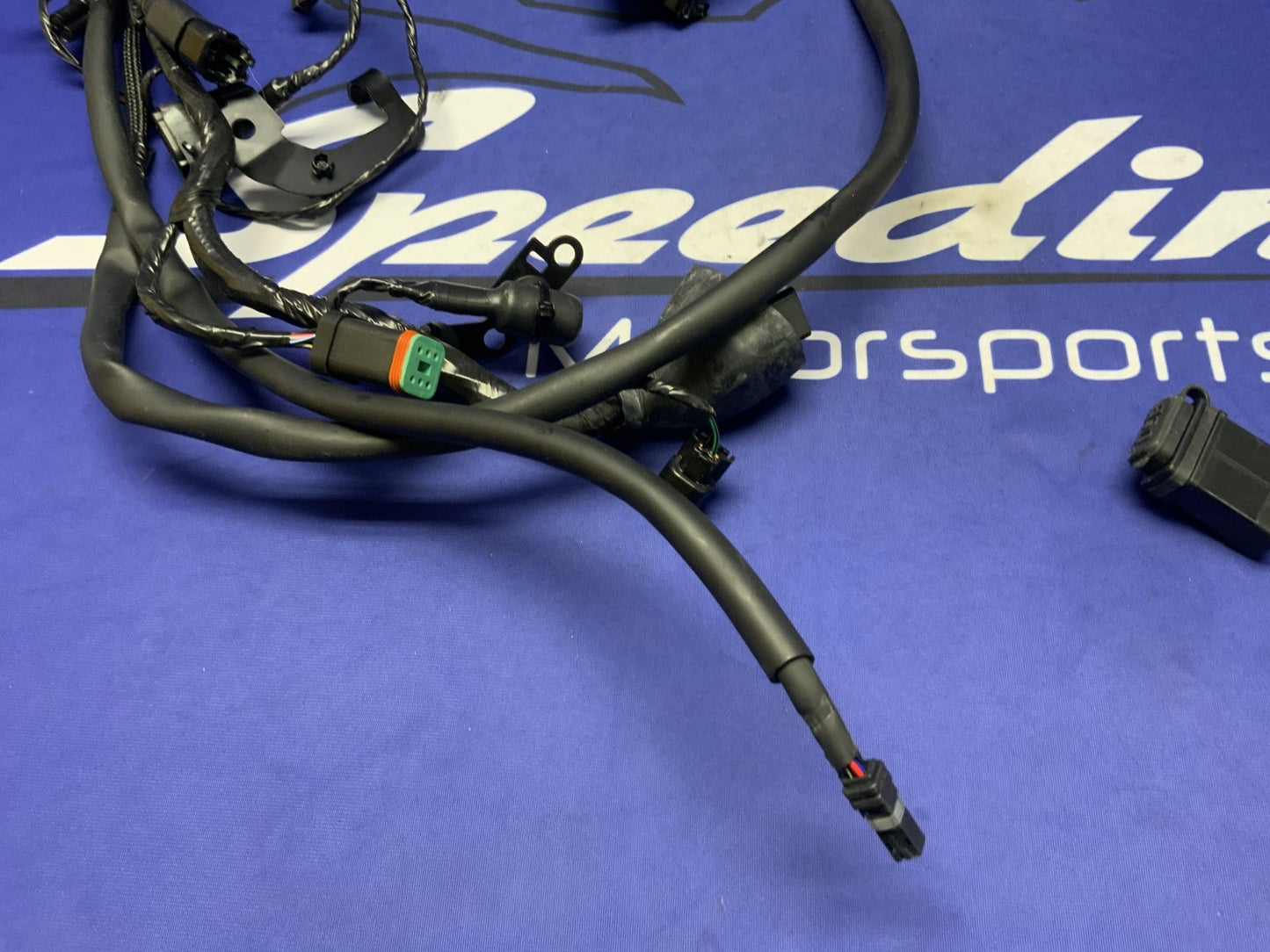 Triumph Main Wiring Harness Street Triple RS 2023-2025 OEM T2509765
