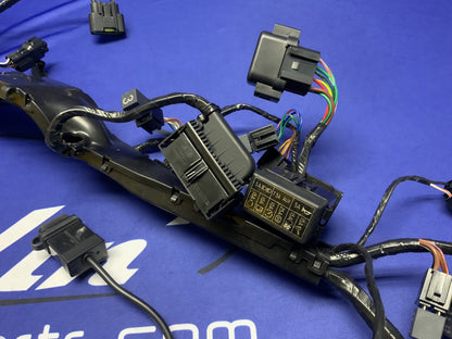 Triumph Main Wiring Harness Street Triple RS 2023-2025 OEM T2509765