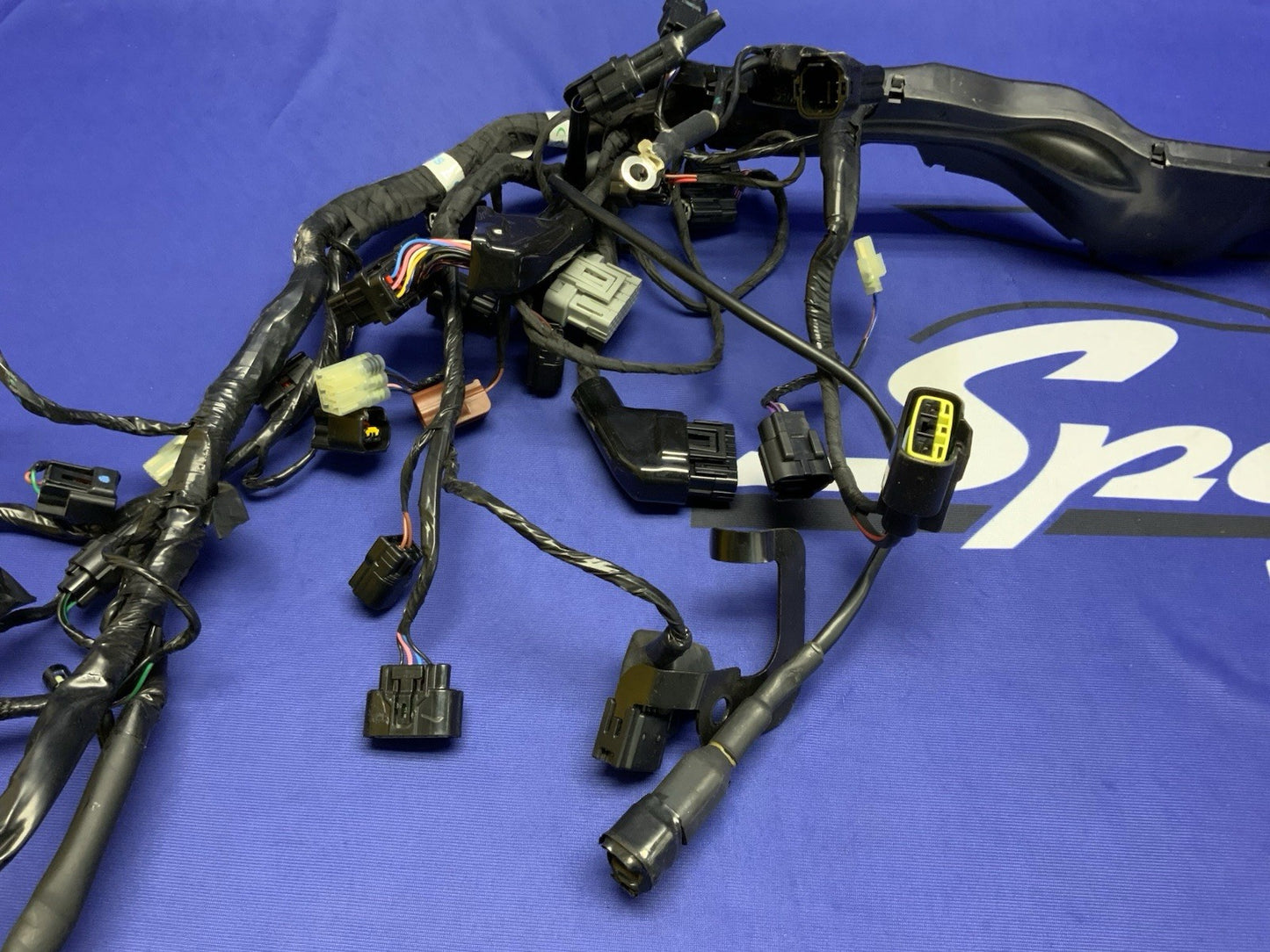 Triumph Main Wiring Harness (No Horn Connector) Street Triple 2023-2025 T2506090