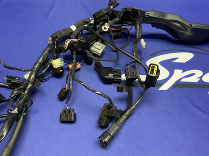 Triumph Main Wiring Harness (No Horn Connector) Street Triple 2023-2025 T2506090