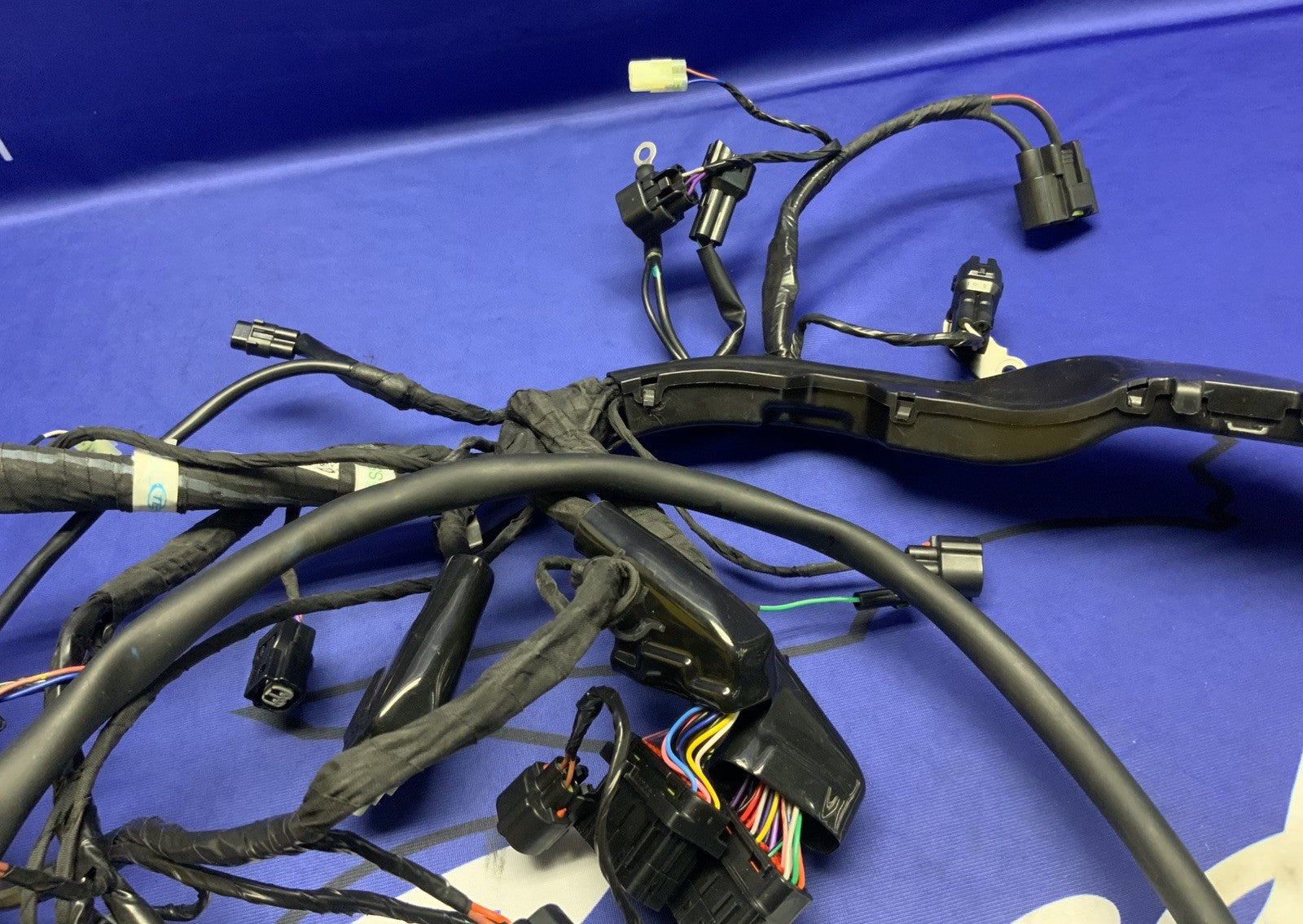 Triumph Main Wiring Harness Street Triple RS 2023-2025 OEM T2509765