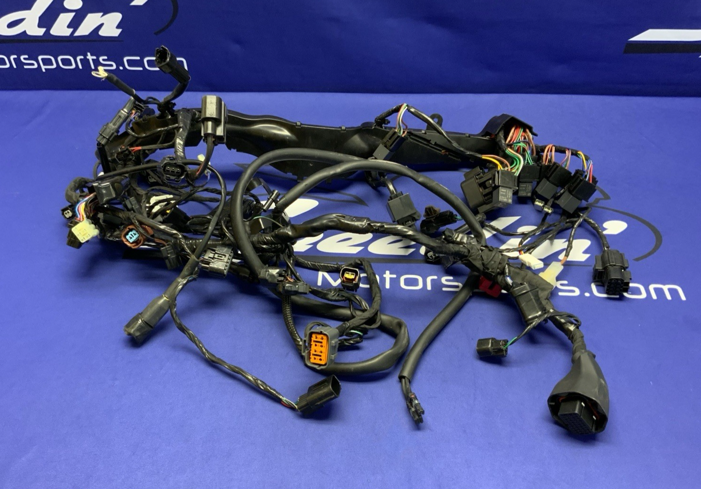 Triumph Main Wiring Harness (No Horn Connector) Street Triple 2023-2025 T2506090