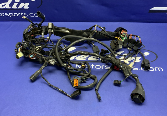 Triumph Main Wiring Harness (No Horn Connector) Street Triple 2023-2025 T2506090