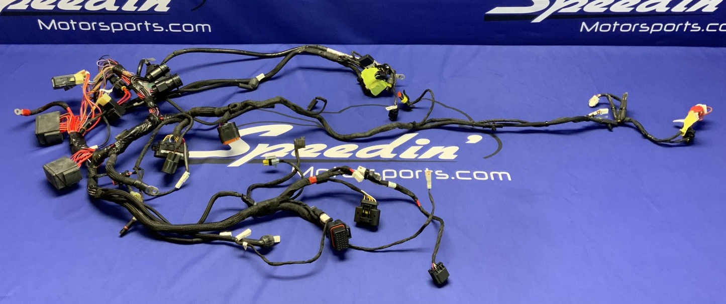Ducati Main Wiring Harness Panigale V4 2022-2024 OEM 5101L281A