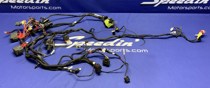 Ducati Main Wiring Harness Panigale V4 2022-2024 OEM 5101L281A