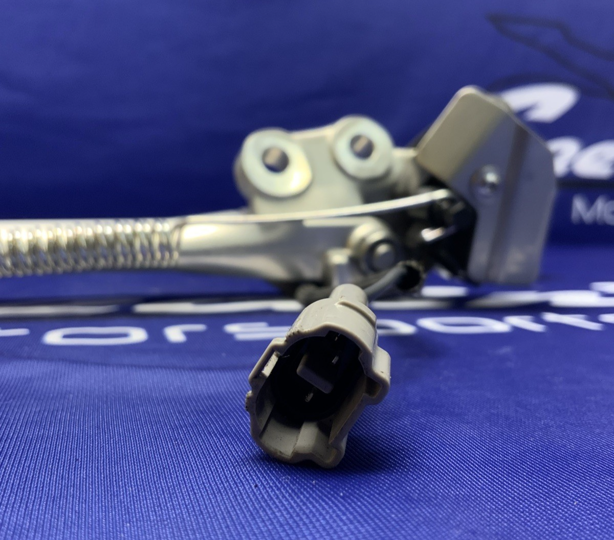 Triumph Kickstand Assembly Street Triple RS 2023-2025 OEM T2082009