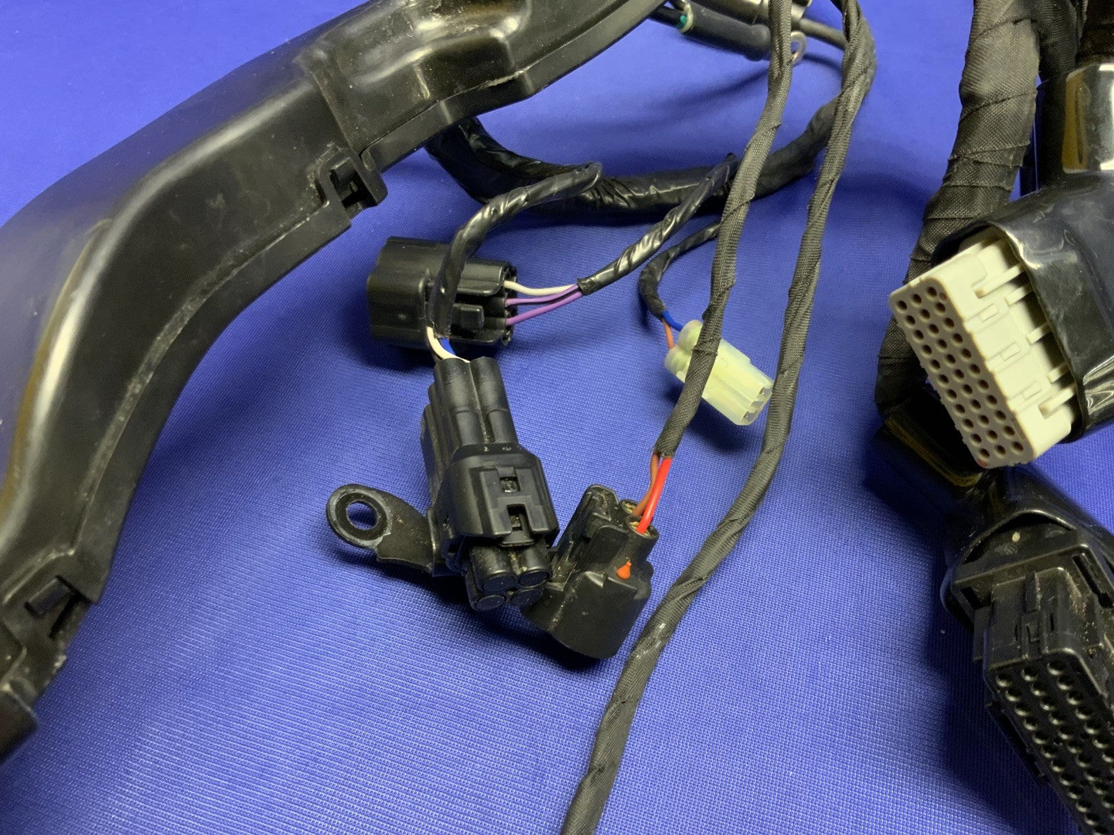Triumph Main Wiring Harness (No Horn) Street Triple RS 23-25 OEM T2506090-1