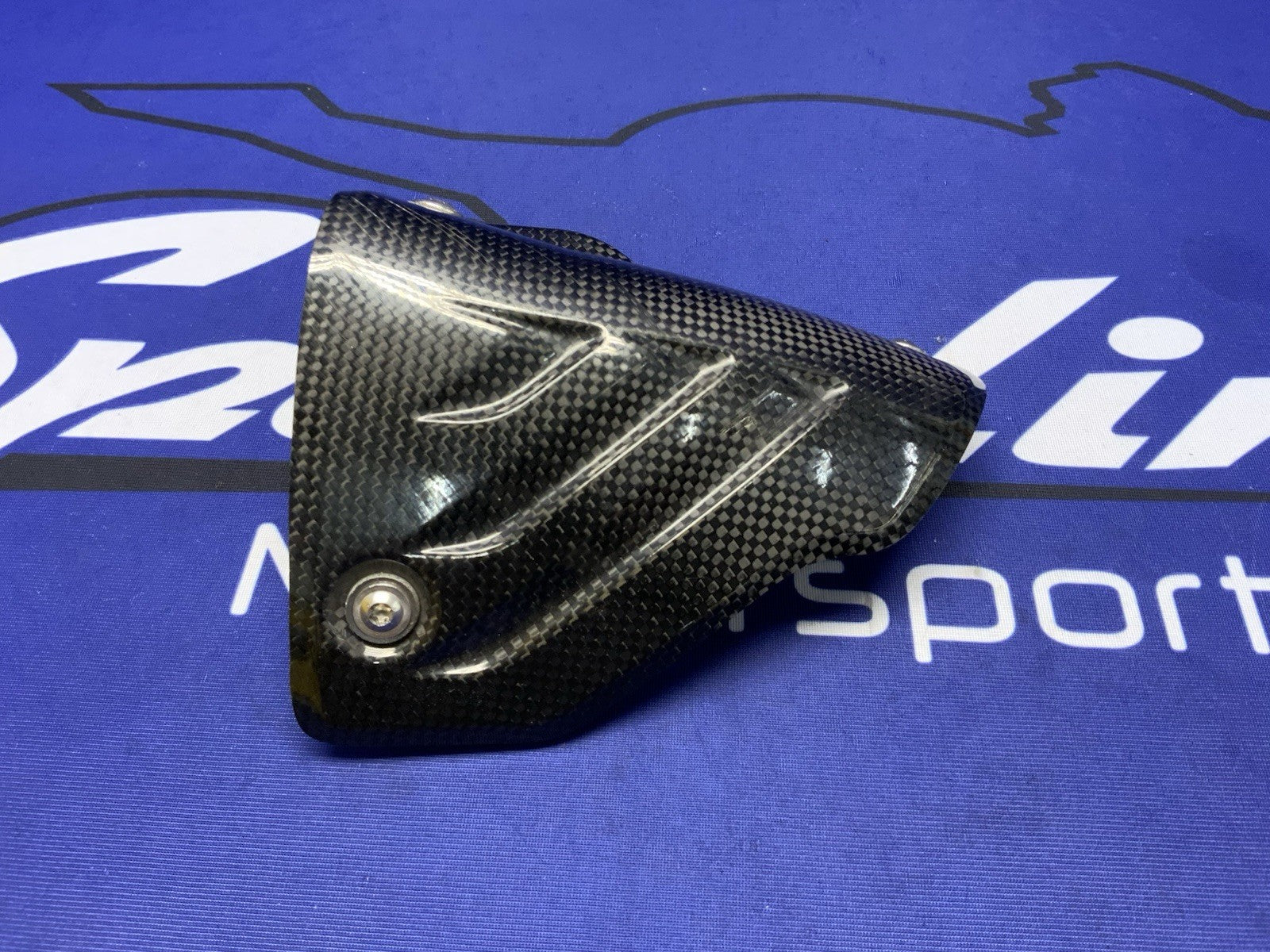 Akrapovic Carbon Fiber Heat Shield BMW S10000RR/M1000RR 2019-2022 P-HSB10E3