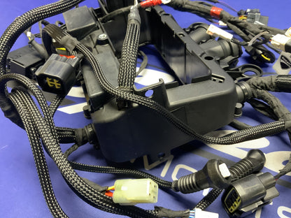 Ducati Main Wiring Harness Panigale V4 Speciale 2019 OEM 5101C371G