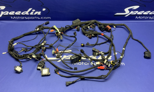 MV Agusta Wiring Harness F3R/RR 2023 OEM 8000D1225