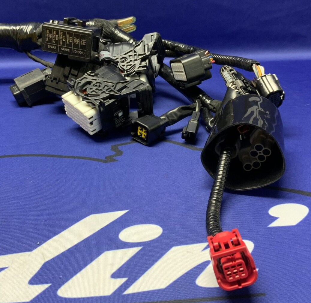 Suzuki Wire Harness GSX-8S 2023-2025 OEM 36610-25L00
