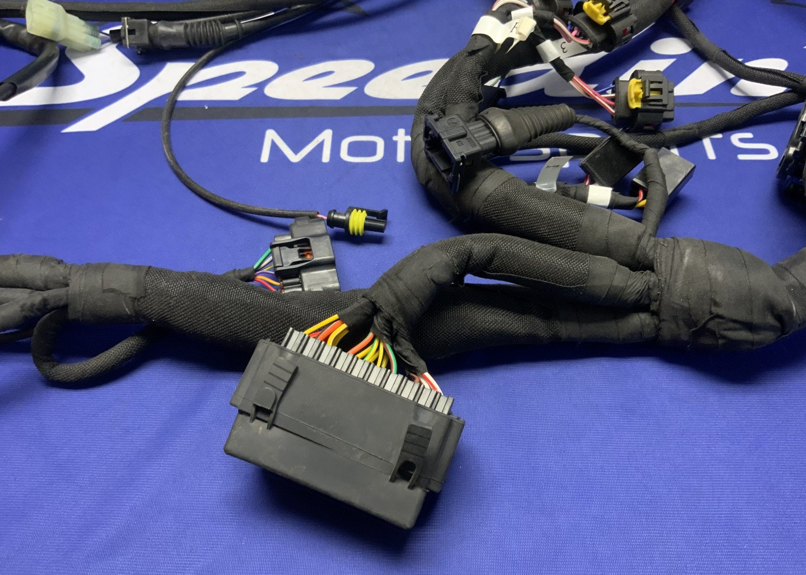 MV Agusta Wiring Harness F3R/RR 2023 OEM 8000D1225