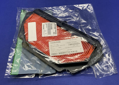 Kawasaki Air Filter Ninja ZX-6R ABS KRT Edition 2016-2023 OEM 11013-0036