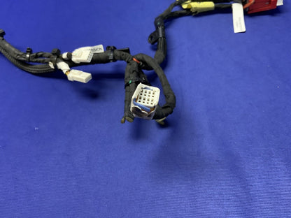 Ducati Main Wiring Harness Panigale V4 2022-2024 OEM 5101L281A