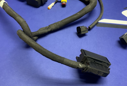 MV Agusta Wiring Harness F3R/RR 2023 OEM 8000D1225