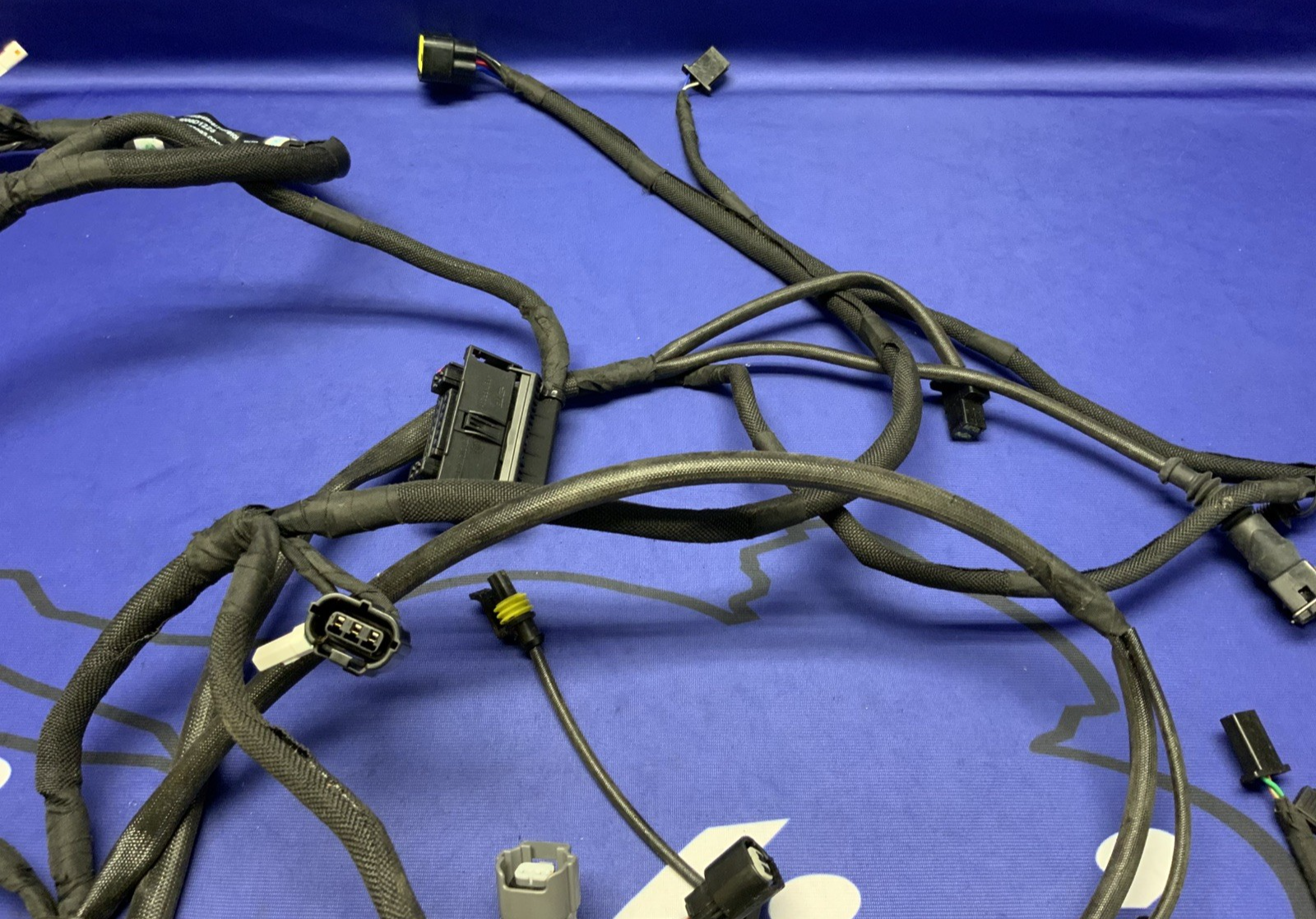 MV Agusta Wiring Harness F3R/RR 2023 OEM 8000D1225