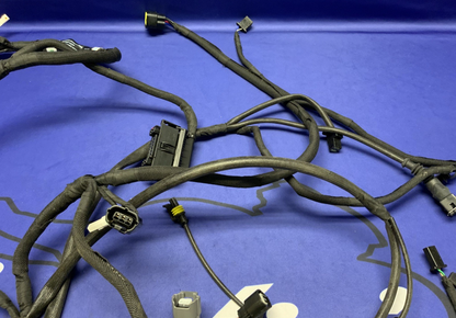 MV Agusta Wiring Harness F3R/RR 2023 OEM 8000D1225