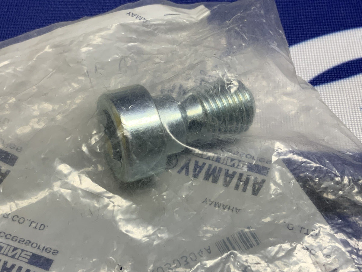 Yamaha Front Fork Hexagon Socket Head Bolt YZF-R1 1998-2003 OEM 3LC-23181-00-00