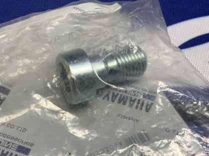 Yamaha Front Fork Hexagon Socket Head Bolt YZF-R1 1998-2003 OEM 3LC-23181-00-00